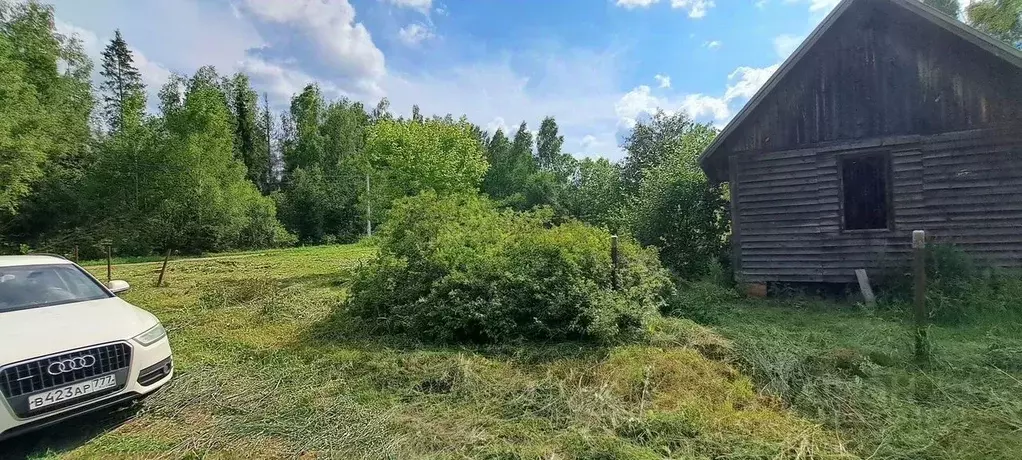 Участок в Московская область, Истра муниципальный округ, д. ... - Фото 2