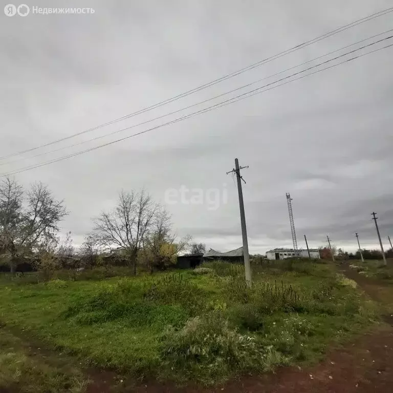 Участок в Курганская область, Кетовский муниципальный округ, село ... - Фото 0