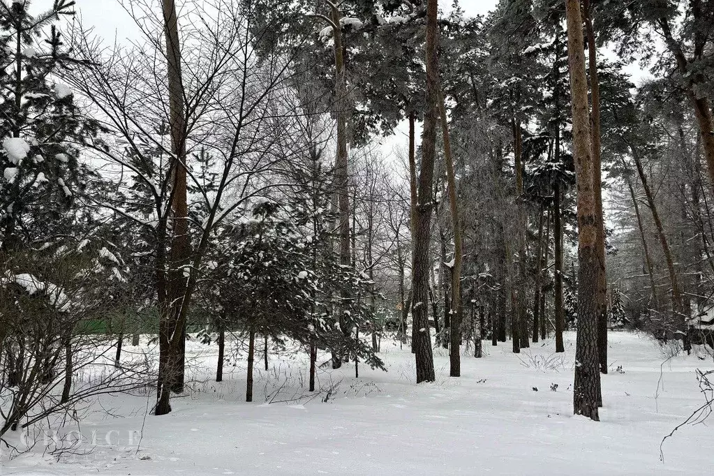 Участок в Московская область, Одинцовский городской округ, д. ... - Фото 1