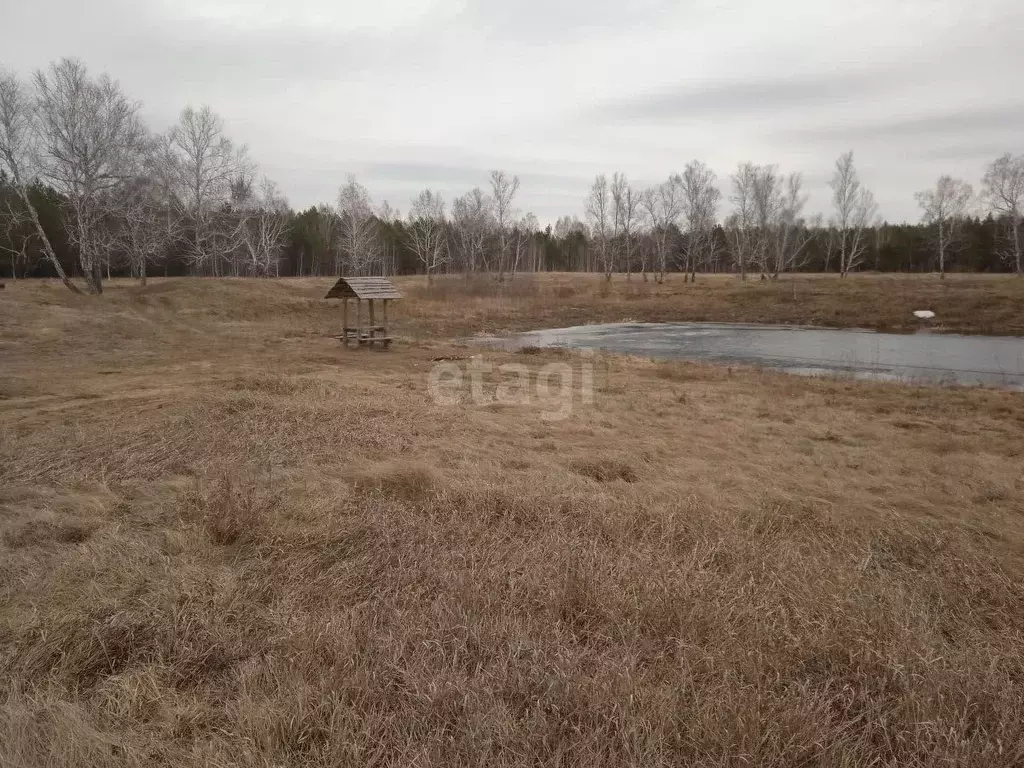 Участок в Омская область, Омский район, с. Покровка  (285.5 сот.) - Фото 0