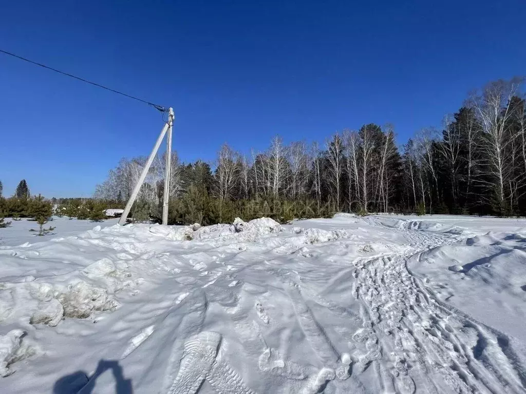 Участок в Тюменская область, Тюменский муниципальный округ, с. ... - Фото 1