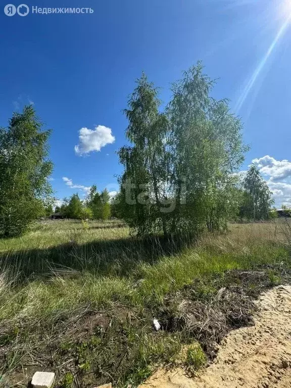 Участок в село Новая Усмань, Виноградный переулок (15 м) - Фото 0