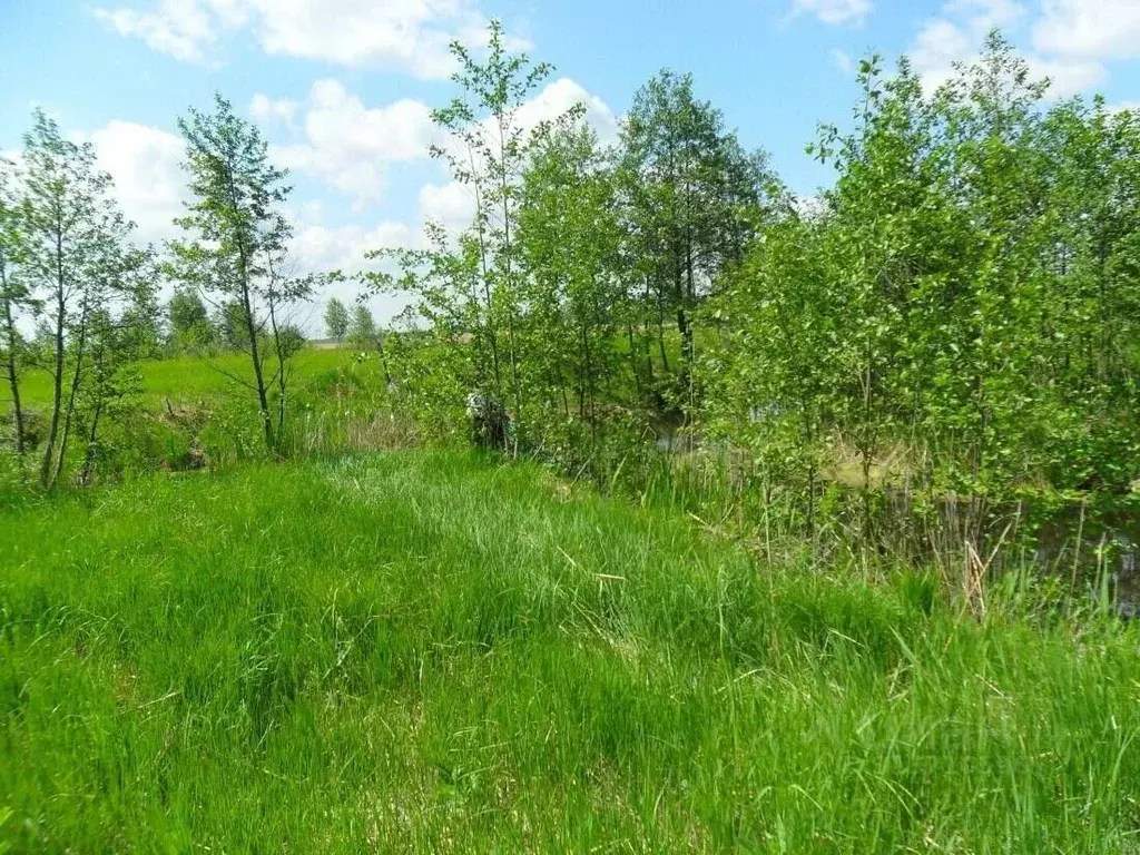 Участок в Краснодарский край, Темрюк Труженик СОТ, ул. Летняя (7.7 ... - Фото 0