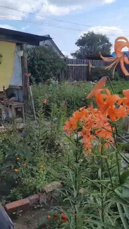 Участок в Бурятия, Заиграевский район, Дабатуйское с/пос, Надежда-5 ... - Фото 2