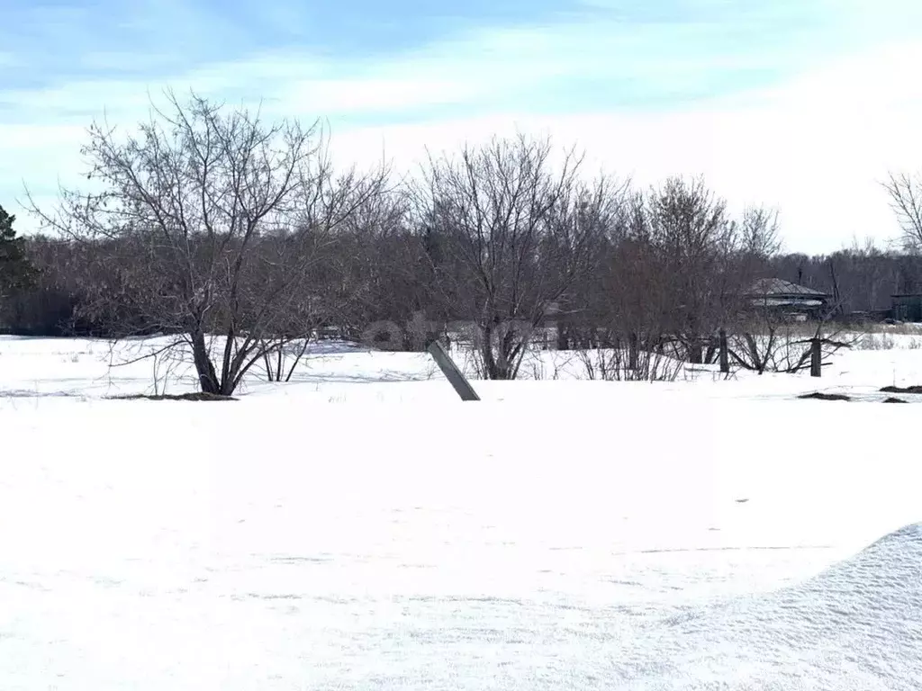 Участок в Новосибирская область, Новосибирский район, с. Ярково ... - Фото 1