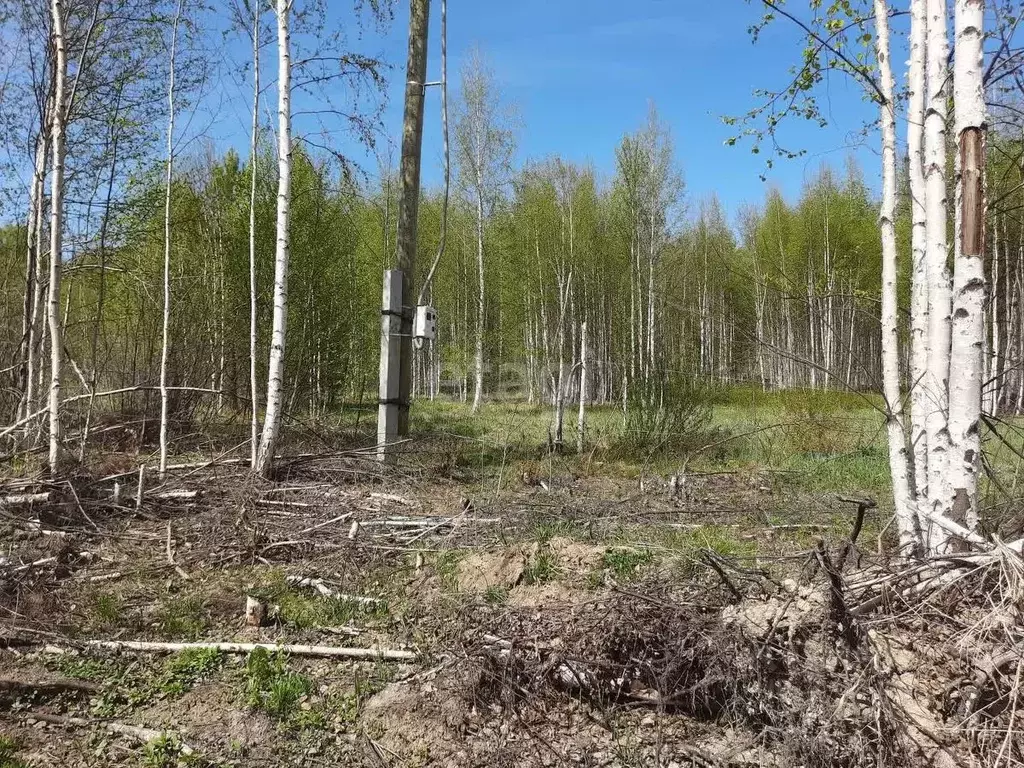 участок в свердловская область, екатеринбург седьмая дача кп, (10.0 . - Фото 1