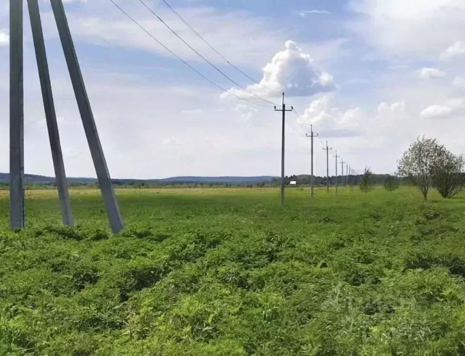 Участок в Московская область, Дмитровский муниципальный округ, ... - Фото 1