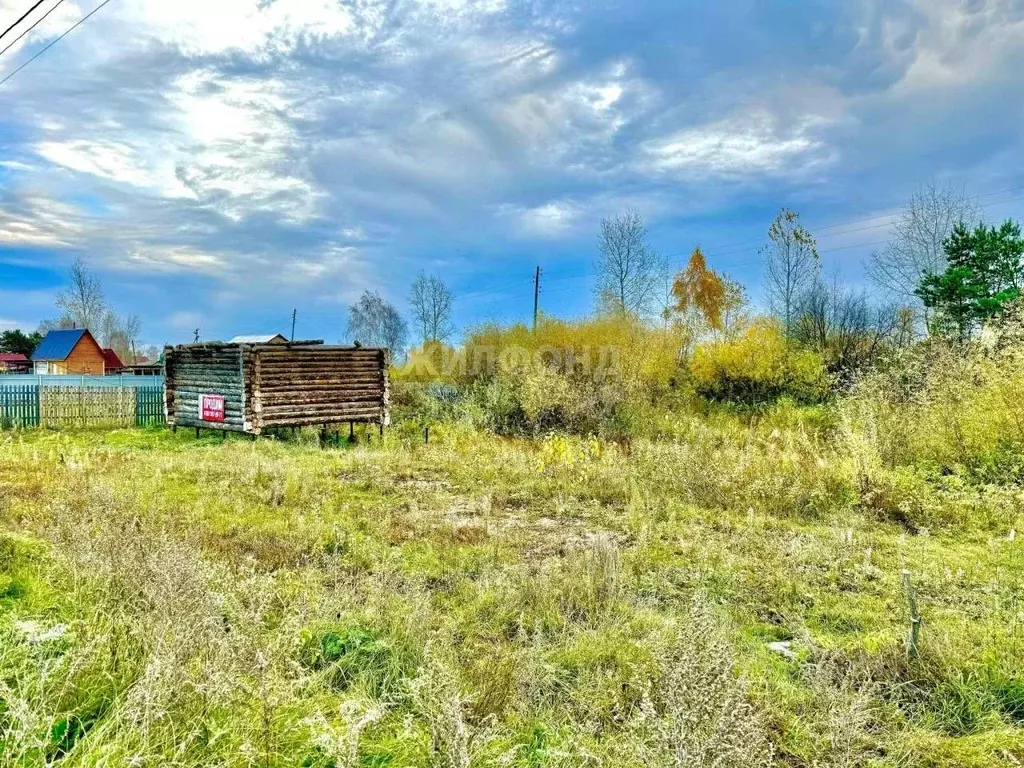 Участок в Томская область, Томский район, с. Курлек Веселая ул. (11.1 ... - Фото 0