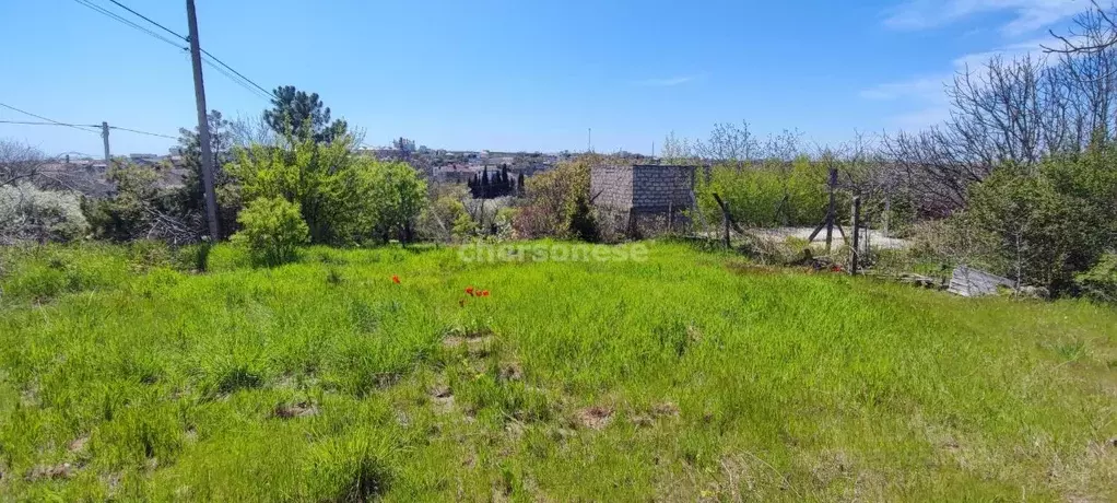 Участок в Севастополь Чайка-УБО садоводческое товарищество,  (8.85 ... - Фото 1