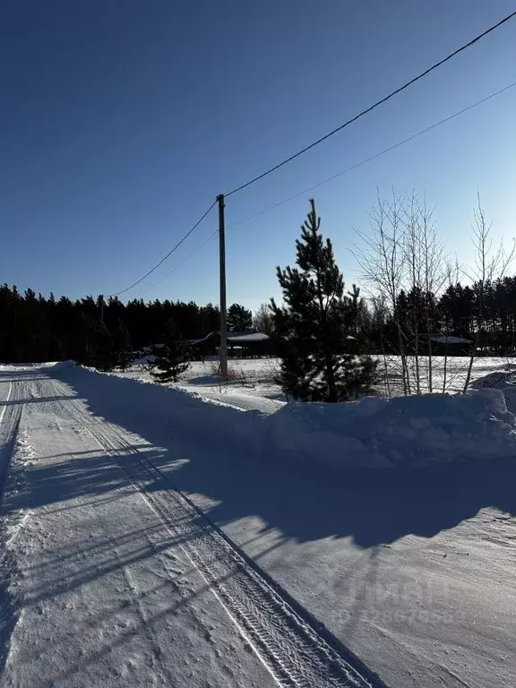 Участок в Красноярский край, Емельяновский муниципальный округ, Город ... - Фото 2