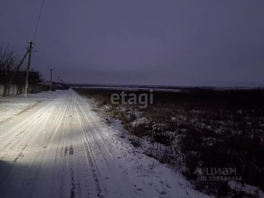 Участок в Белгородская область, Белгородский район, Яснозоренское ... - Фото 0