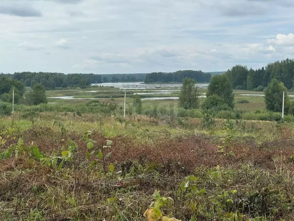 Участок в Костромская область, Красносельский район, Шолоховское ... - Фото 1