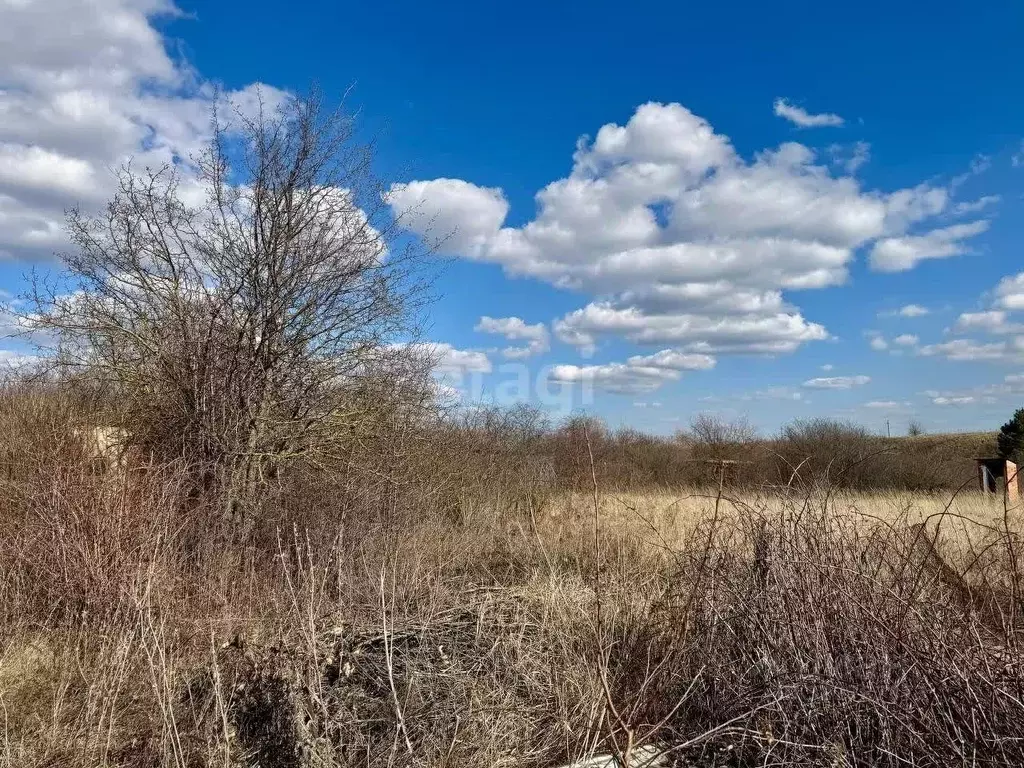 Участок в Липецкая область, Липецк Строитель-3 СНТ, 617 (10.0 сот.) - Фото 1