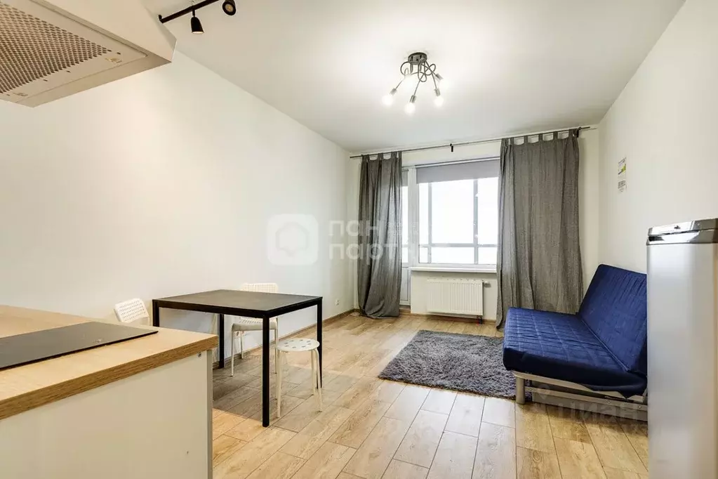 Студия Санкт-Петербург просп. Народного ополчения, 149 (25.6 м) - Фото 2