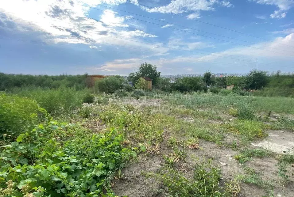 Участок в Волгоградская область, Дубовский район, Пичужинское с/пос, ... - Фото 1