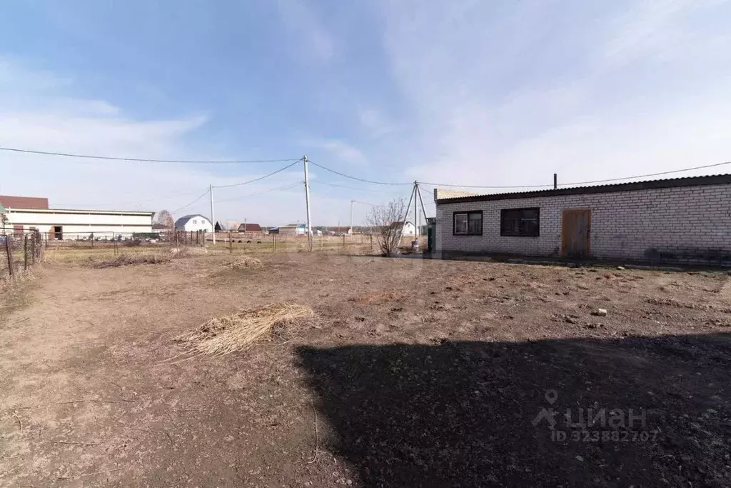 Участок в Алтайский край, Новоалтайск ул. Перфишина (5.5 сот.) - Фото 1