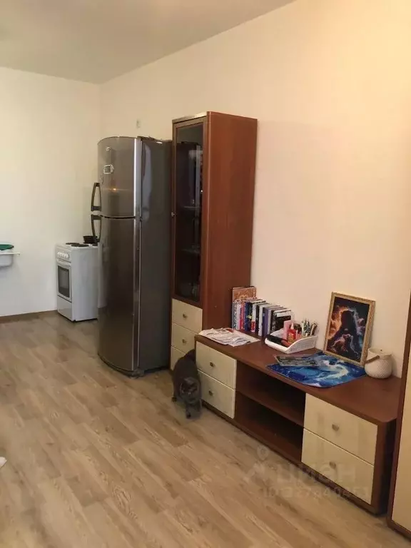1-к кв. Санкт-Петербург просп. Васнецовский, 18 (31.0 м) - Фото 2