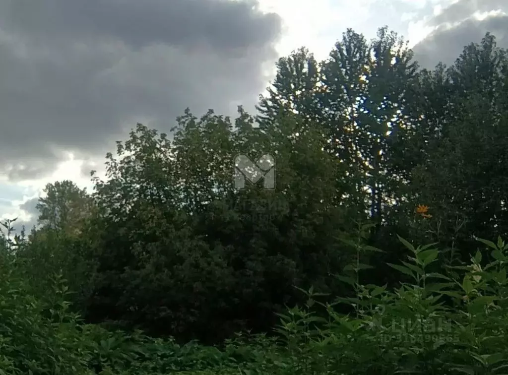 Участок в Ленинградская область, Кировский район, Назиевское городское ... - Фото 0
