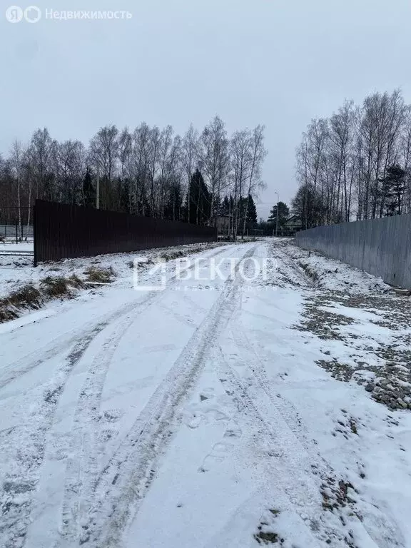 Участок в Ярославский муниципальный округ, деревня Некрасово (40 м) - Фото 0