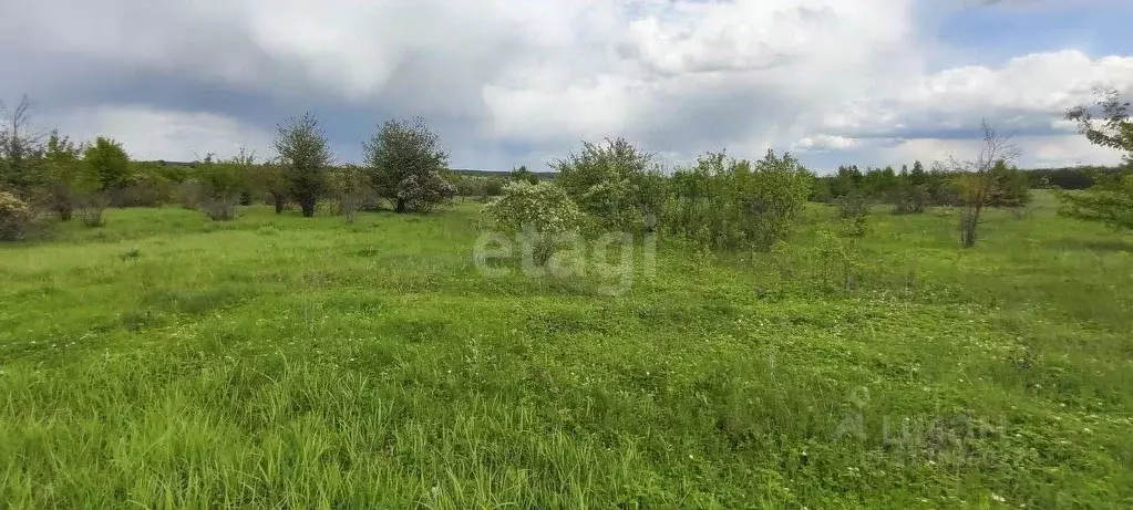 Участок в Воронежская область, Рамонский район, Русскогвоздевское ... - Фото 0