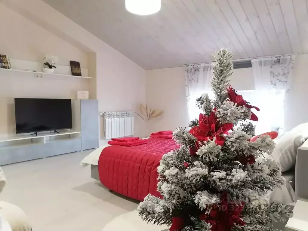 1-к кв. Владимирская область, Суздальский район, Селецкое ... - Фото 2