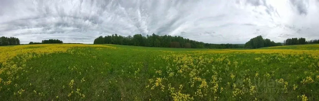 Участок в Новосибирская область, Новолуговской сельсовет  (35.0 сот.) - Фото 1