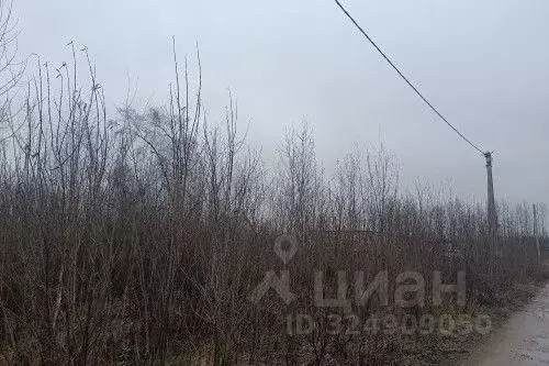 Участок в Новгородская область, Новгородский район, Ермолинское с/пос, ... - Фото 2