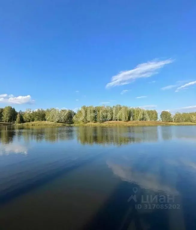 Участок в Тюменская область, Тюменский район, д. Малиновка ул. Вербная ... - Фото 1