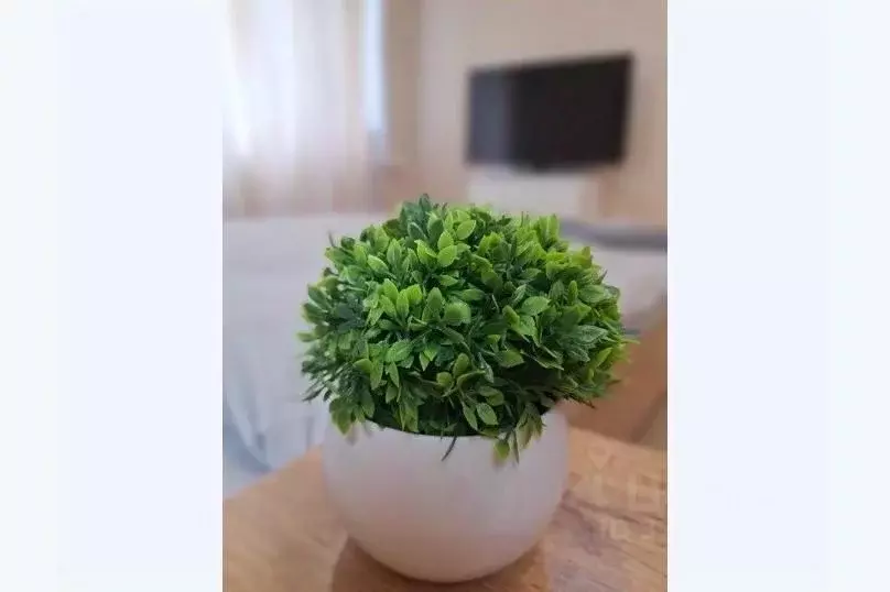 1-к кв. Курская область, Курск ул. Радищева, 71к1 (34.0 м) - Фото 2