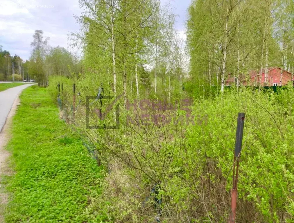 Участок в Санкт-Петербург, Зеленогорск (24 м) - Фото 1