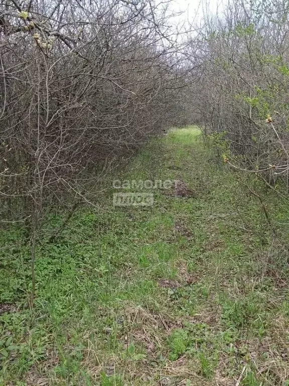 Дом в Воронежская область, Хохольский район, с. Гремячье ул. Чкалова, ... - Фото 2