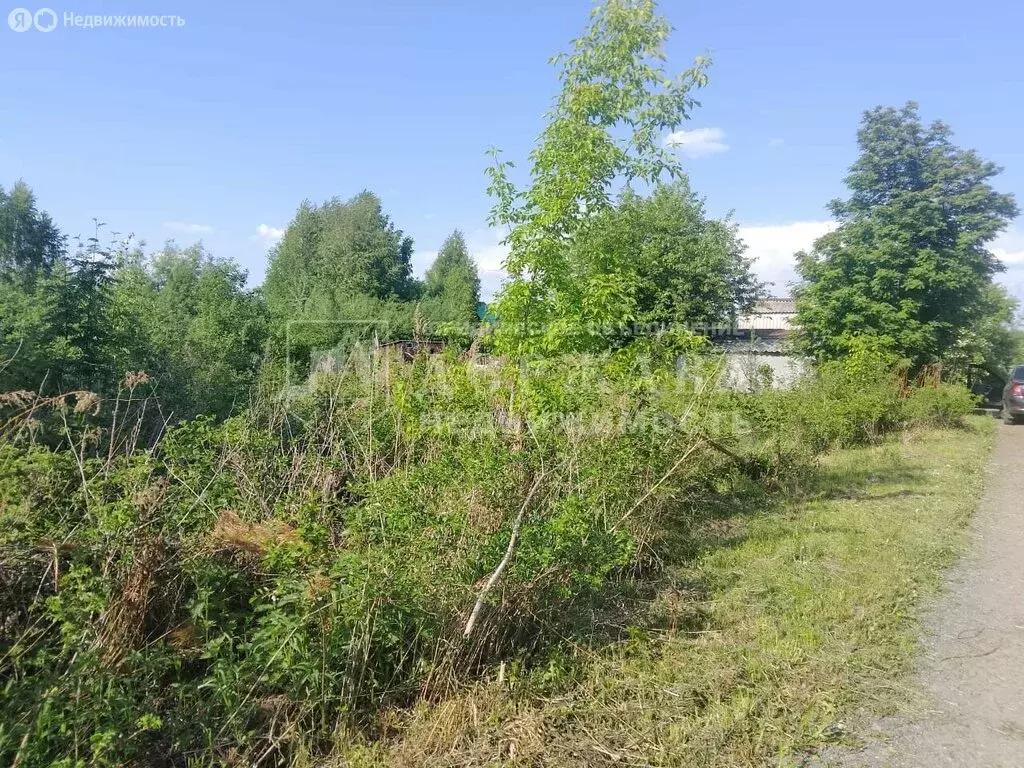 Участок в Кемеровский муниципальный округ, СДТ Берёзка-2 (6 м) - Фото 0