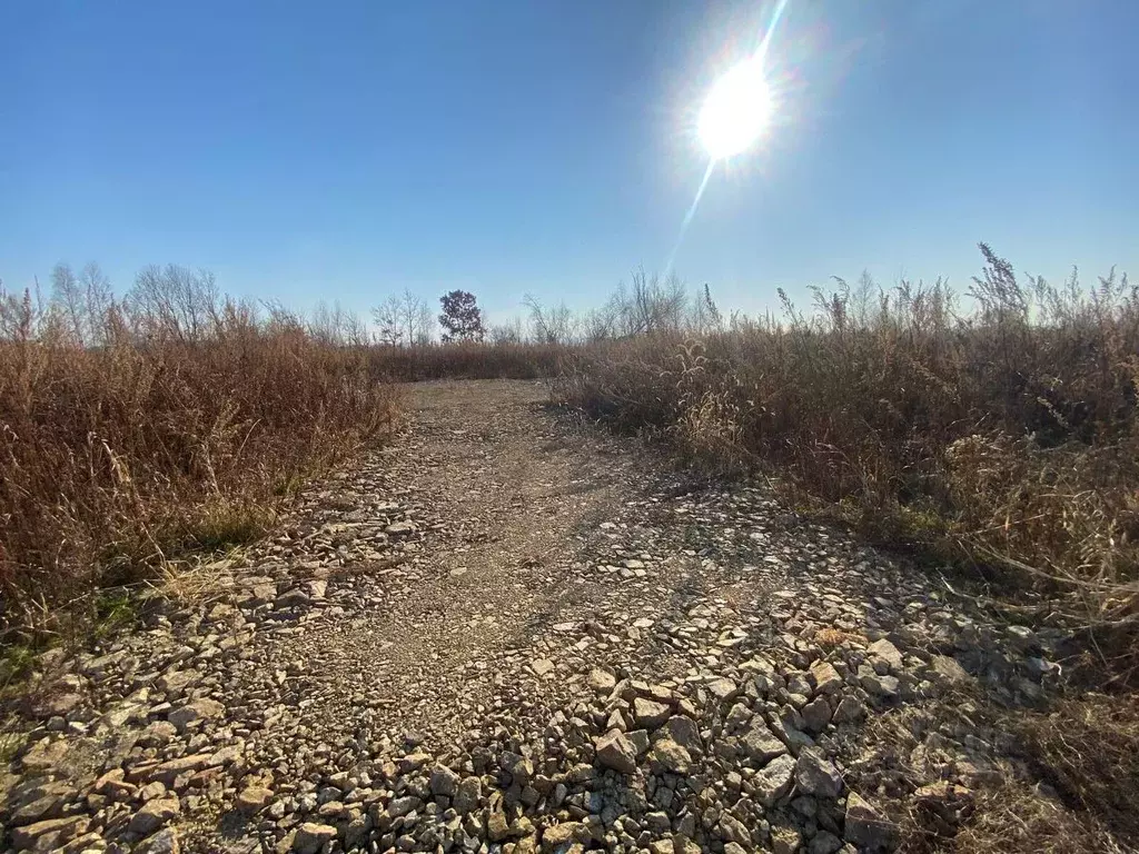 Участок в Приморский край, Уссурийск Гиппократ СДТ,  (6.23 сот.) - Фото 2