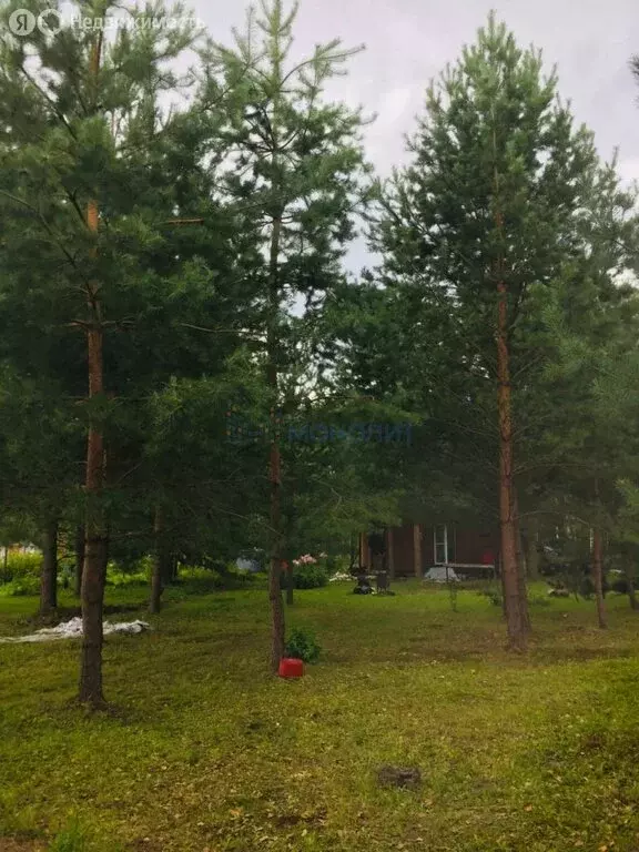 Участок в Нижегородская область, Богородский муниципальный округ, село ... - Фото 0