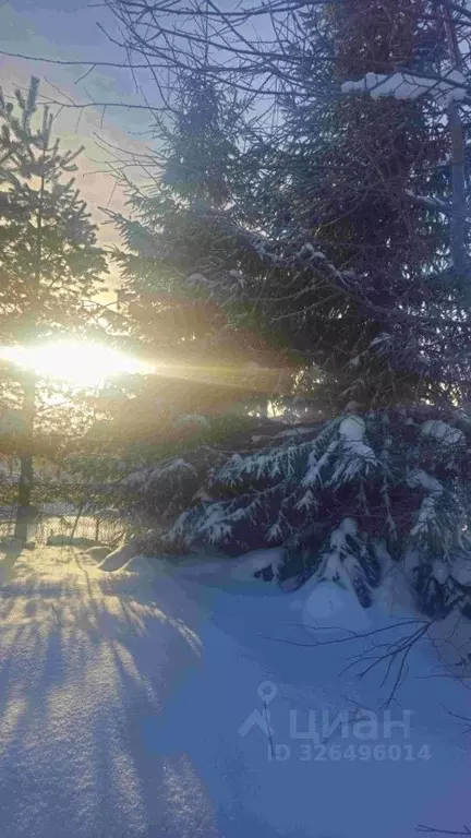 Участок в Ленинградская область, Ломоносовский район, Виллозское ... - Фото 2