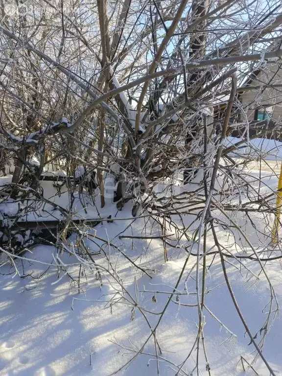 Участок в Черепаново, Интернациональная улица (6.5 м) - Фото 2