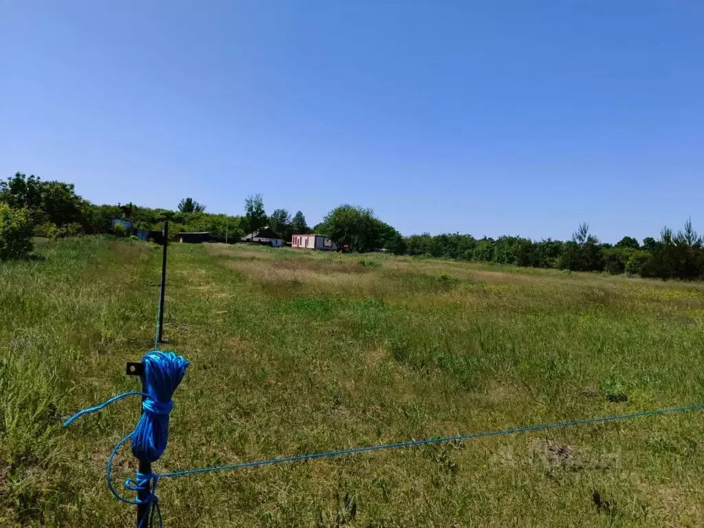 Участок в Белгородская область, Белгород Дальняя Садовая ул. (14.0 ... - Фото 2