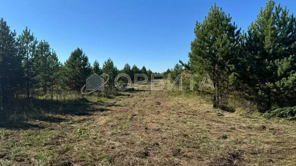 Участок в Свердловская область, Слободо-Туринский район, ... - Фото 2