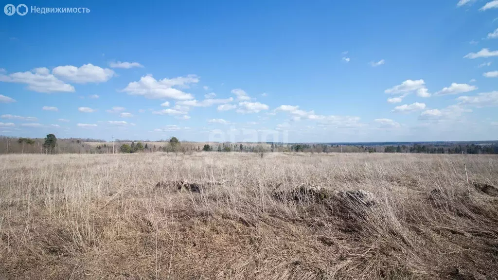 Участок в Томский район, село Корнилово (200 м) - Фото 0