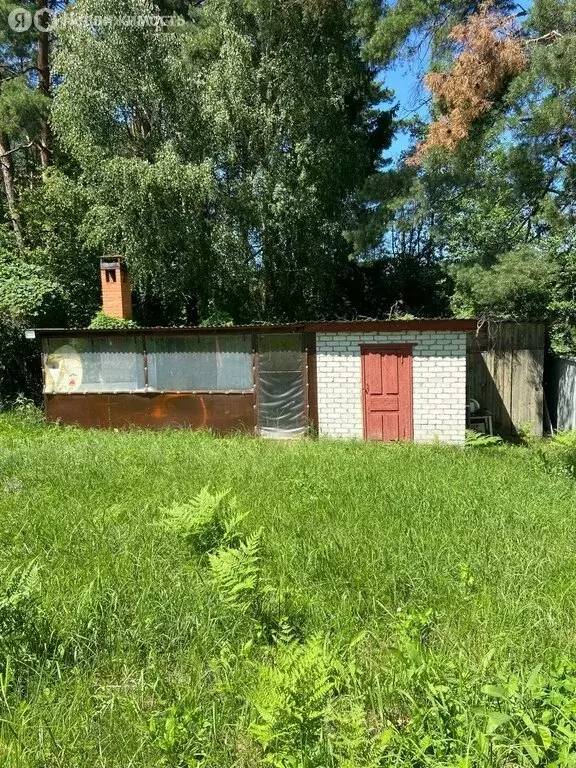 Участок в Брянский район, Новодарковичское сельское поселение, посёлок ... - Фото 2