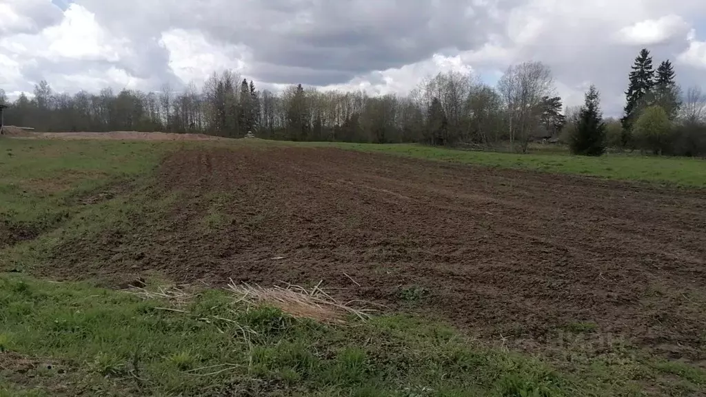 Участок в Новгородская область, Батецкий муниципальный округ, д. ... - Фото 0