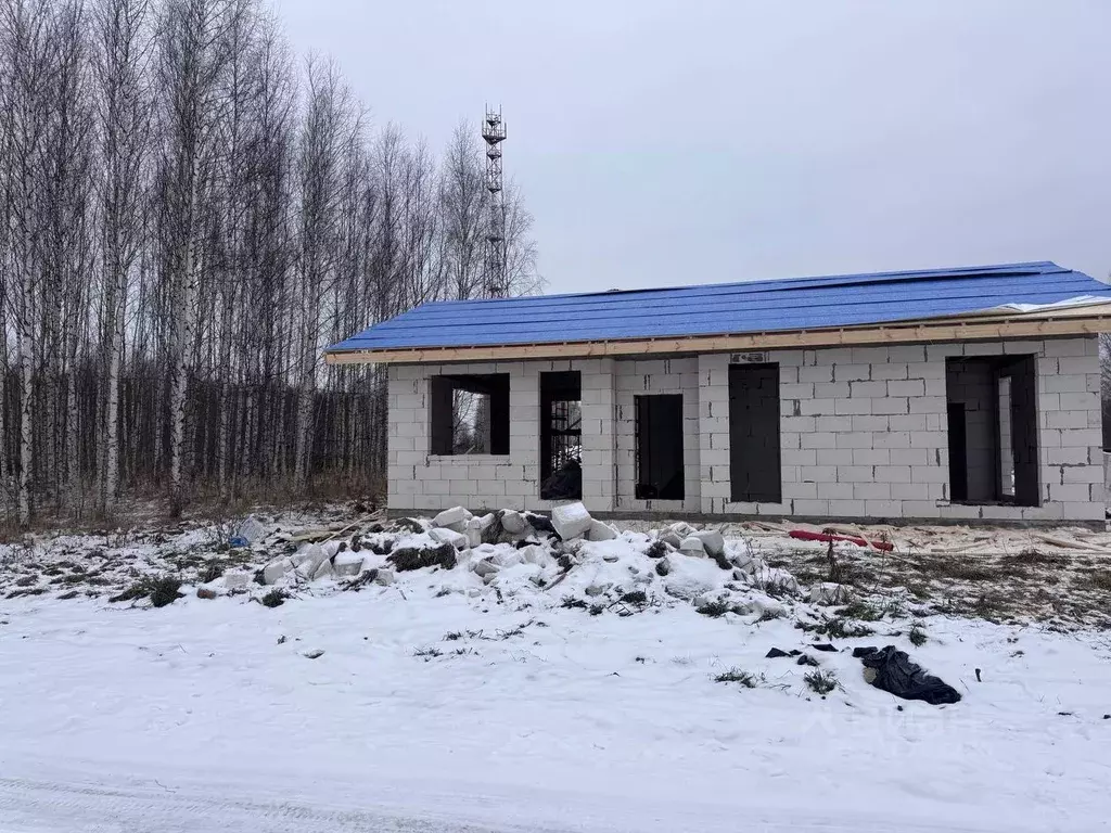 Дом в Нижегородская область, Городецкий муниципальный округ, с. Зиняки ... - Фото 1