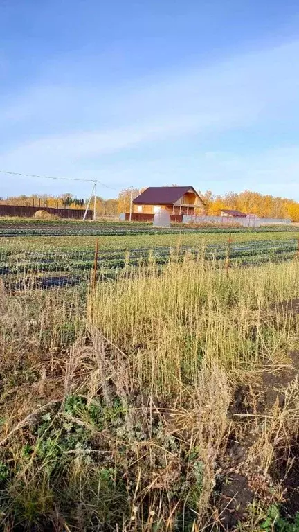 Участок в Курганская область, Кетовский муниципальный округ, с. ... - Фото 1