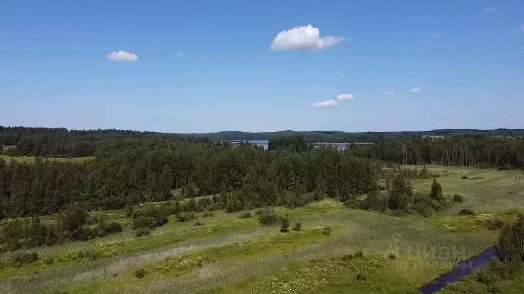 Участок в Карелия, Лахденпохский муниципальный округ, пос. Райвио  ... - Фото 2