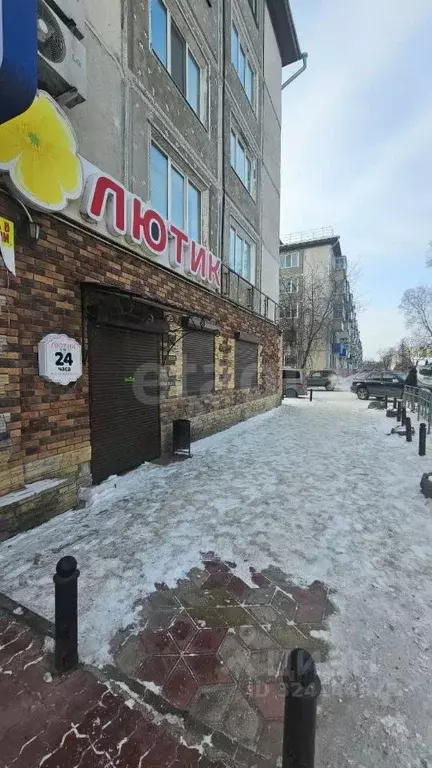 Торговая площадь в Амурская область, Благовещенск Зеленая ул., 6 (108 ... - Фото 1