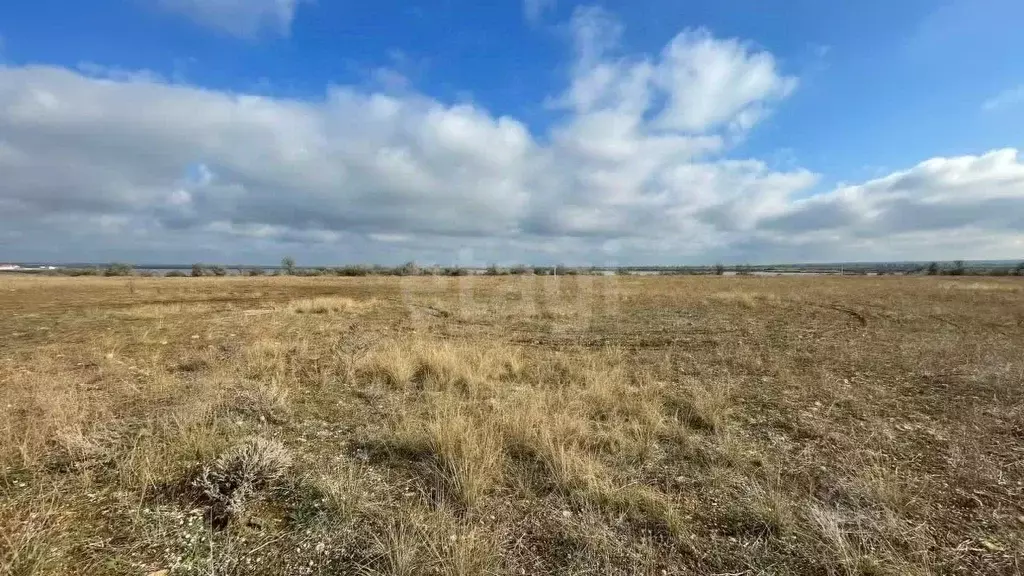 Участок в Крым, Черноморский район, с. Межводное ул. Ароматная (24.0 ... - Фото 0