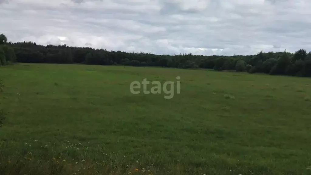 Участок в Ярославская область, Ярославский район, Кузнечихинское ... - Фото 0