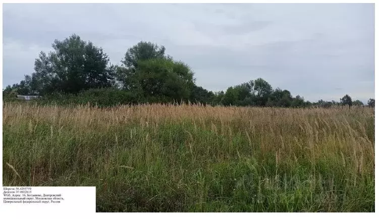 Участок в Московская область, Дмитровский муниципальный округ, д. ... - Фото 1