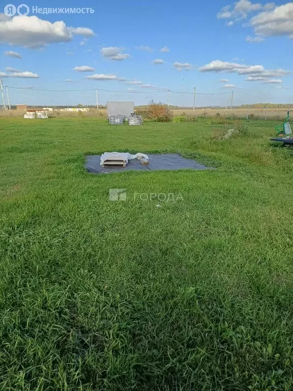 Участок в Толмачёвский сельсовет, деревня Алексеевка (10.5 м) - Фото 0