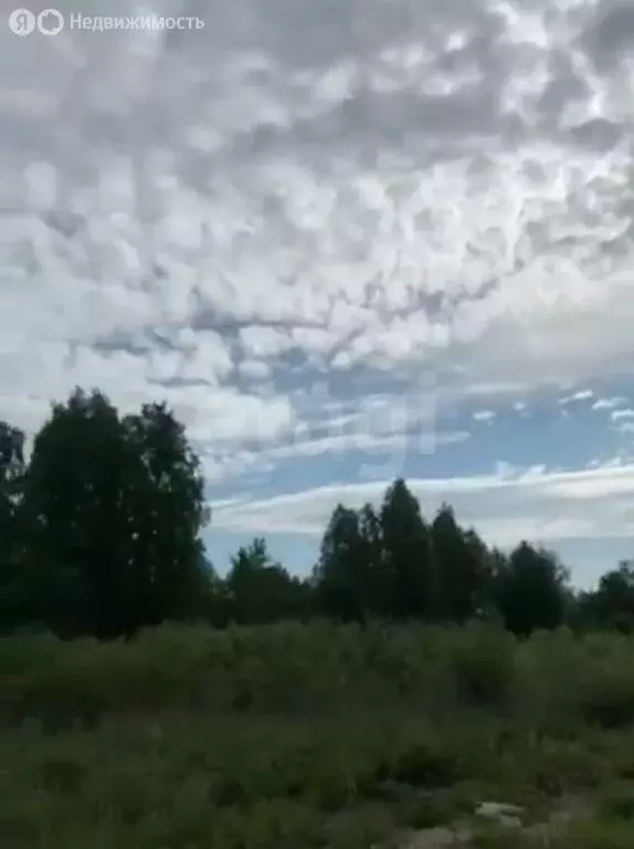 Участок в Тюменская область, Нижнетавдинский муниципальный округ, ДНТ ... - Фото 2